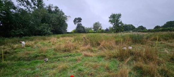 4 Schlafzimmer Haus in Bernay, France, Nr. 313604 17