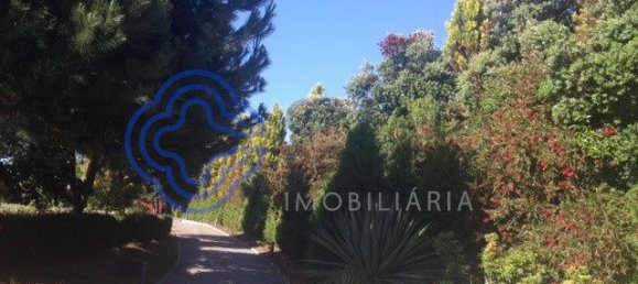 9 غرف نوم منزل في Oliveira de Azemeis, Portugal رقم 72026 40