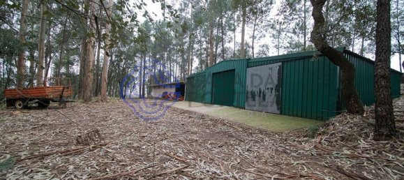 9 غرف نوم منزل في Oliveira de Azemeis, Portugal رقم 72026 9