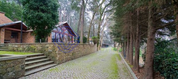 9 غرف نوم منزل في Oliveira de Azemeis, Portugal رقم 72026 16