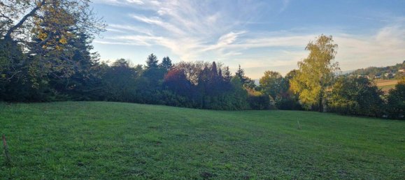  Land in Hagenbrunn, Austria No. 243360 3