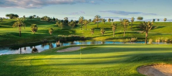 285m² Land in Silves, Portugal No. 129581 9