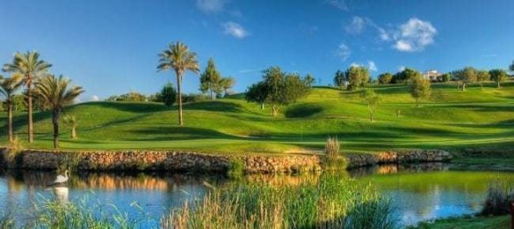 285m² Land in Silves, Portugal No. 129581 8