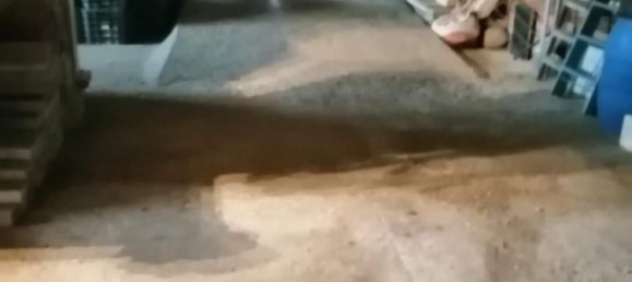 3 chambres Maison de ville à Caceres, Spain No. 142875 15