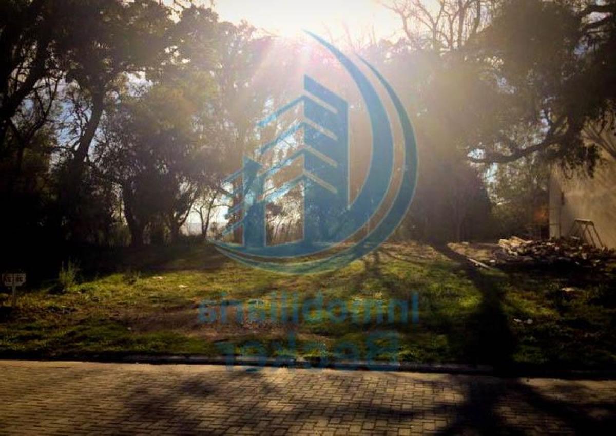  Land in Cordoba, Argentina No. 46679