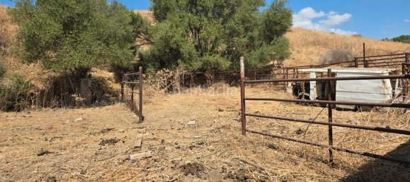  قطعة أرض في Coin, Spain 180000متر مربع رقم 191431 26