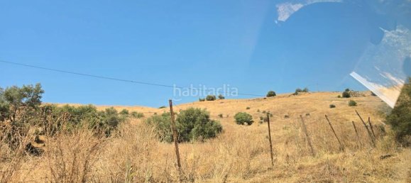  قطعة أرض في Coin, Spain 180000متر مربع رقم 191431 16