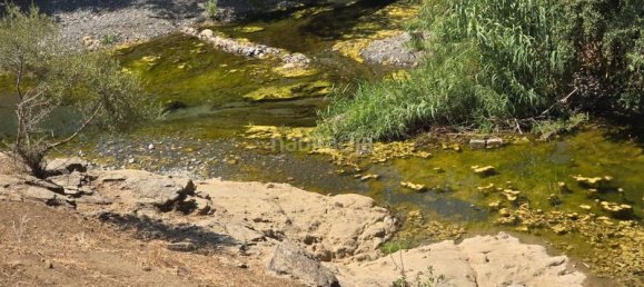  قطعة أرض في Coin, Spain 180000متر مربع رقم 191431 3