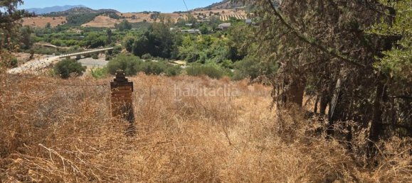  قطعة أرض في Coin, Spain 180000متر مربع رقم 191431 48