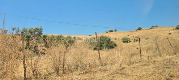 180000m² Land in Coin, Spain No. 191431 52