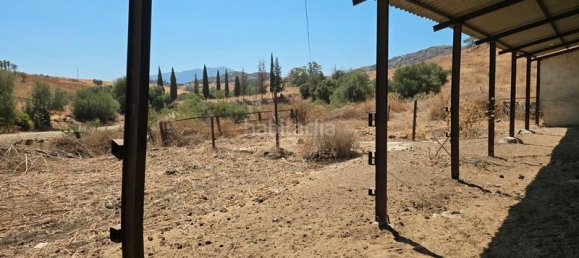  قطعة أرض في Coin, Spain 180000متر مربع رقم 191431 23