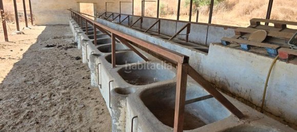 180000m² Land in Coin, Spain No. 191431 53