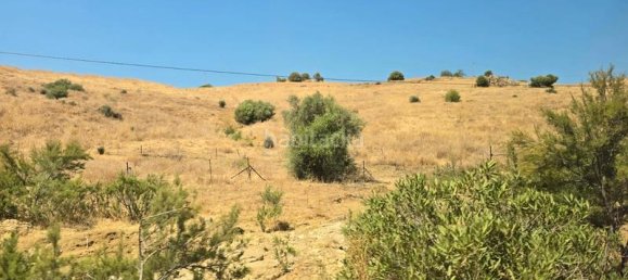  قطعة أرض في Coin, Spain 180000متر مربع رقم 191431 17