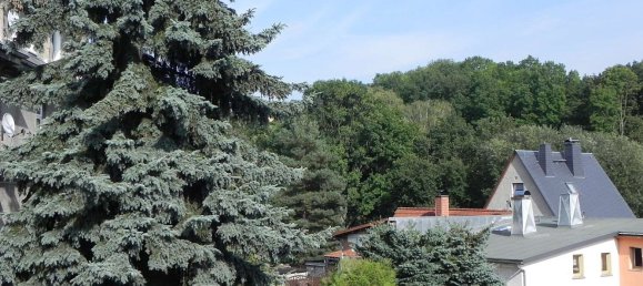 2-Zimmer Wohnung in Greiz, Germany, Nr. 22108 2