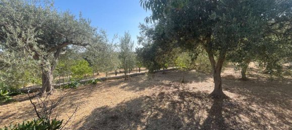 5-Zimmer Villa in Noto, Italy, Nr. 290247 16