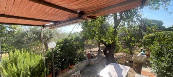 5-Zimmer Villa in Noto, Italy, Nr. 290247 14