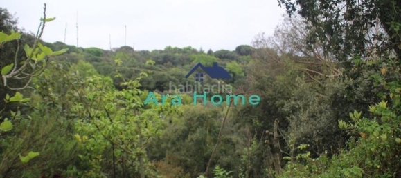 3 bedrooms House in Dosrius, Spain No. 143874 6