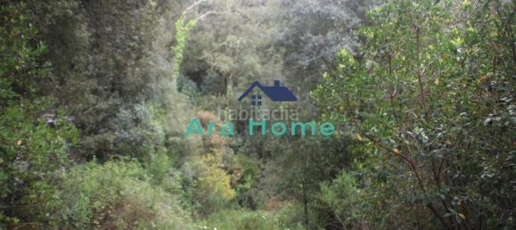 3 bedrooms House in Dosrius, Spain No. 143874 23