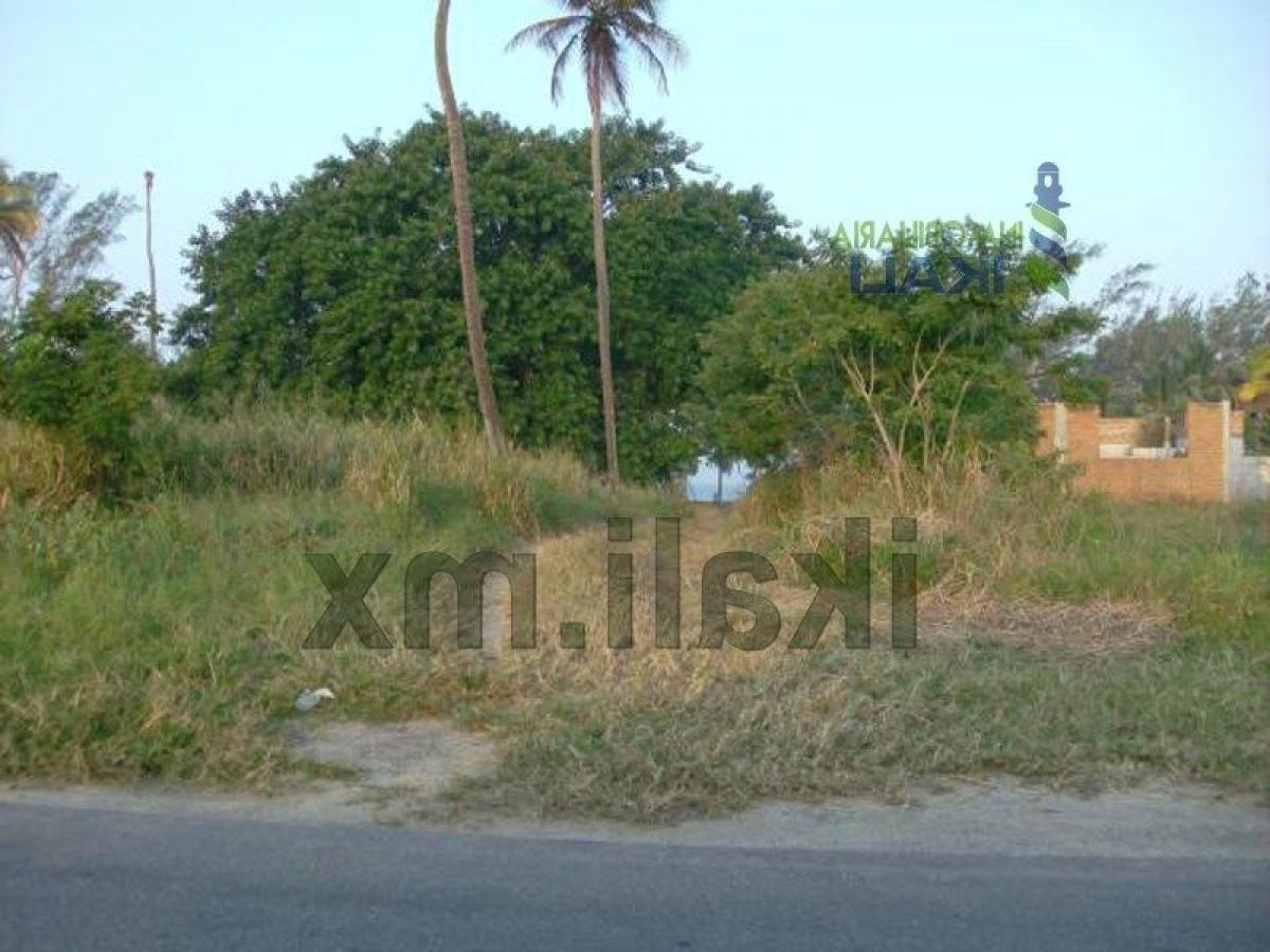 Grundstück in Veracruz, Mexico, Nr. 204274