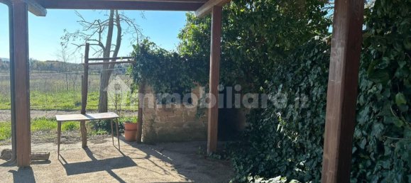 50000m² Land in Tuscania, Italy No. 166339 23