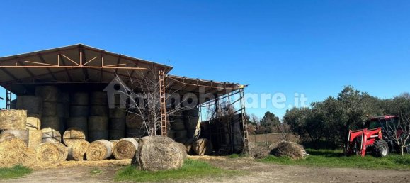 50000m² Land in Tuscania, Italy No. 166339 14