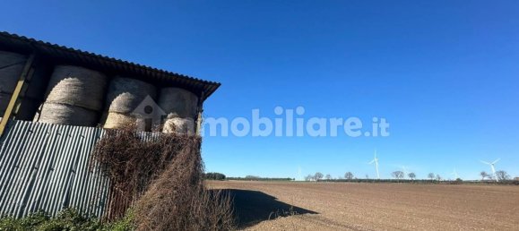 50000m² Land in Tuscania, Italy No. 166339 5