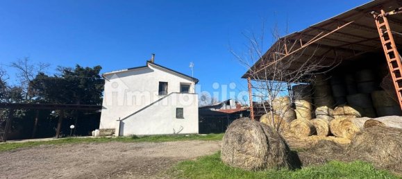 50000m² Land in Tuscania, Italy No. 166339 2