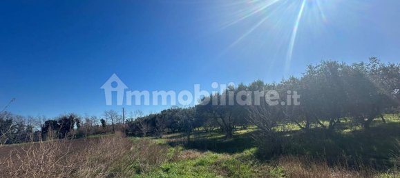 50000m² Land in Tuscania, Italy No. 166339 7