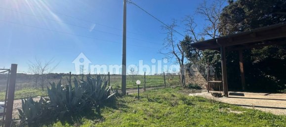50000m² Land in Tuscania, Italy No. 166339 16