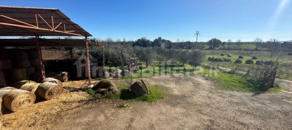 50000m² Land in Tuscania, Italy No. 166339 25