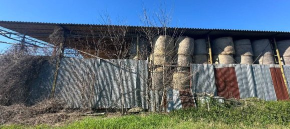 50000m² Land in Tuscania, Italy No. 166339 27