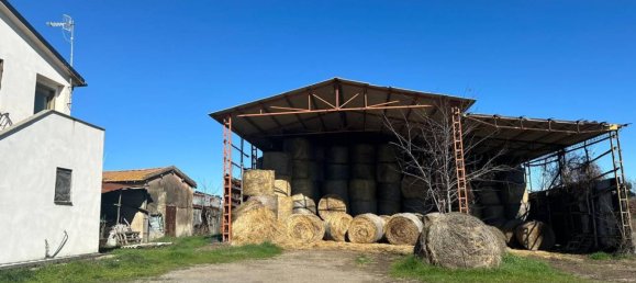 50000m² Land in Tuscania, Italy No. 166339 11