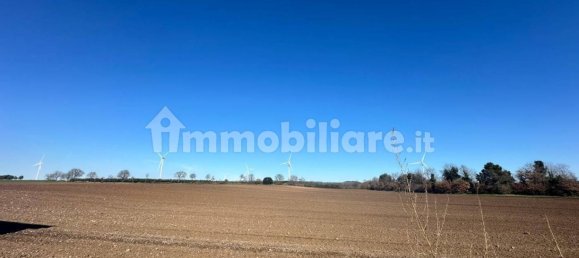 50000m² Land in Tuscania, Italy No. 166339 6