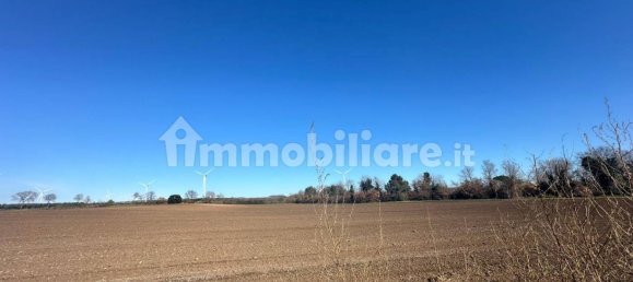 50000m² Land in Tuscania, Italy No. 166339 3