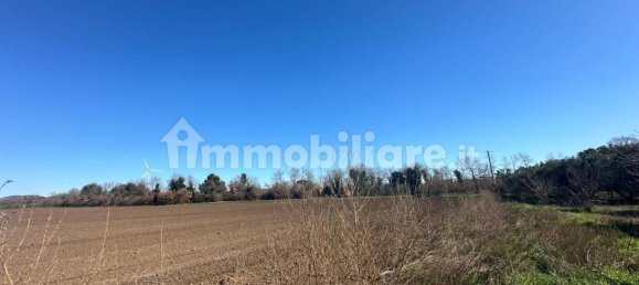 50000m² Land in Tuscania, Italy No. 166339 4