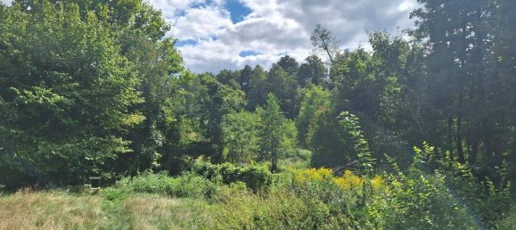 Grundstück in Oder-Spree, Germany, Nr. 364072 5