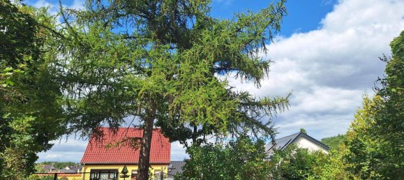 Grundstück in Oder-Spree, Germany, Nr. 364072 7