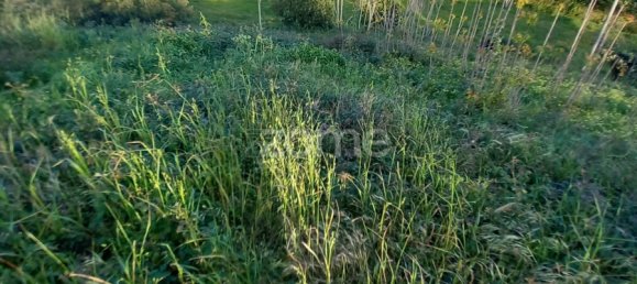 300m² Land in Luso, Portugal No. 28176 15