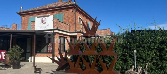 5 rooms Commercial property in Magliano Alfieri, Italy No. 312879 23