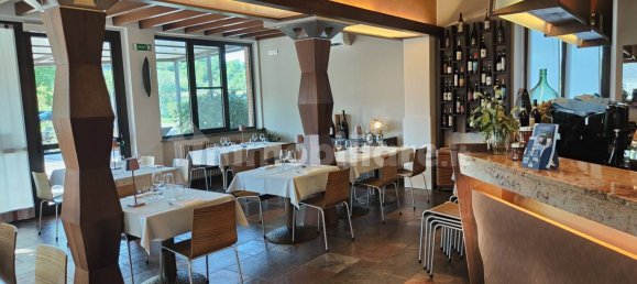 5 rooms Commercial property in Magliano Alfieri, Italy No. 312879 26