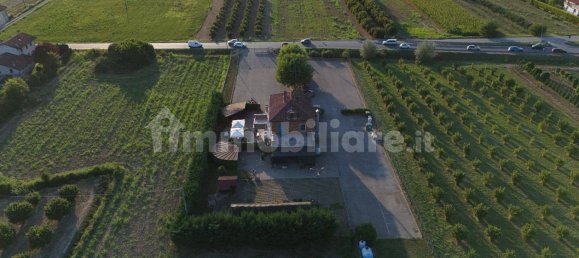 5 rooms Commercial property in Magliano Alfieri, Italy No. 312879 2