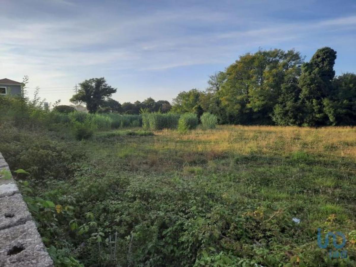  Land in Vila Nova de Gaia, Portugal No. 9086