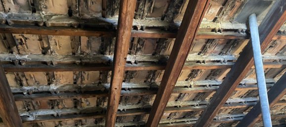 Edifício em Chemnitz, Germany 520 m² N.º 233252 11