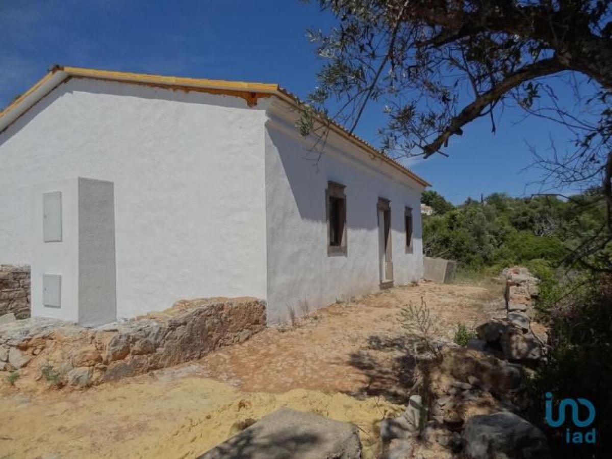 Studio in Faro, Portugal, Nr. 4350