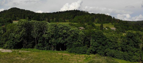 Terreno em Magdalensberg, Austria 2000 m² N.º 218275 16