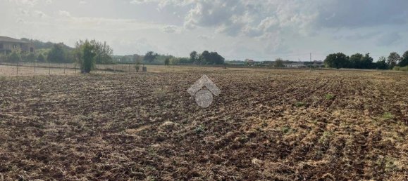 Terreno en Piedimonte San Germano, Italy 25946 m² No. 159803 12