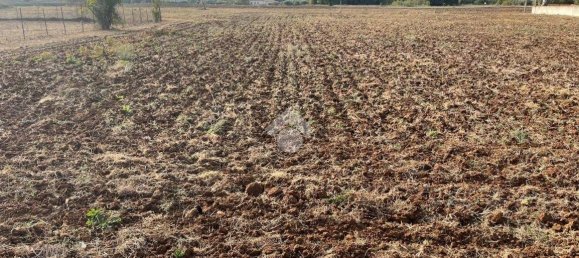 Terreno en Piedimonte San Germano, Italy 25946 m² No. 159803 3