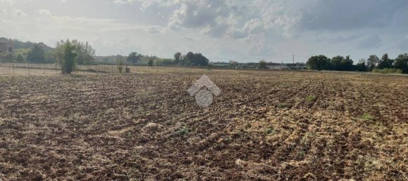 Terreno en Piedimonte San Germano, Italy 25946 m² No. 159803 8