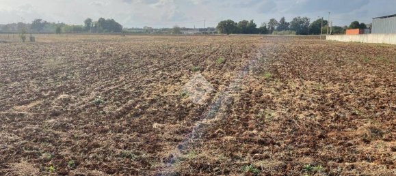 Terreno en Piedimonte San Germano, Italy 25946 m² No. 159803 11