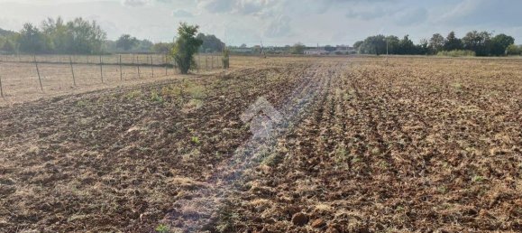 Terreno en Piedimonte San Germano, Italy 25946 m² No. 159803 7